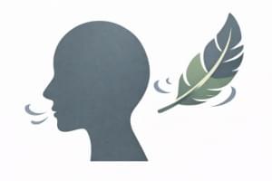 après la séance de méditation guidée en ligne