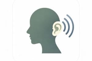 pendant la séance de méditation guidée en ligne